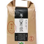 旭一号１５Kg白米農薬化学肥料不使用 肥料農薬不使用、 抗酸化塩(天日塩）栽培” 旭1号 玄米5k - 株式会社夢